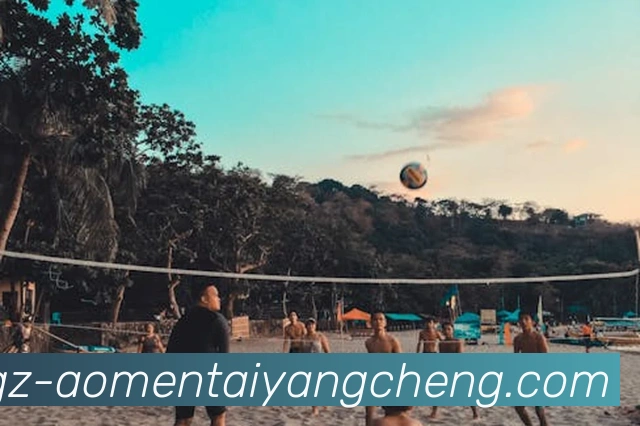 澳门太阳城平台生态图